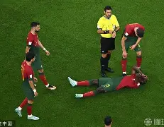 c7娱乐-德国阵容再添伤号，意大利盖格巴无缘欧预赛