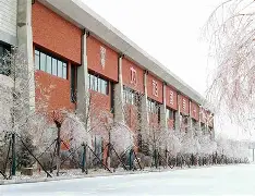 c7c7.app-长春亚泰主场失利，状态持续低迷的简单介绍