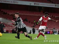 富勒姆主场战平纽卡斯尔，争夺保级越加激烈的简单介绍